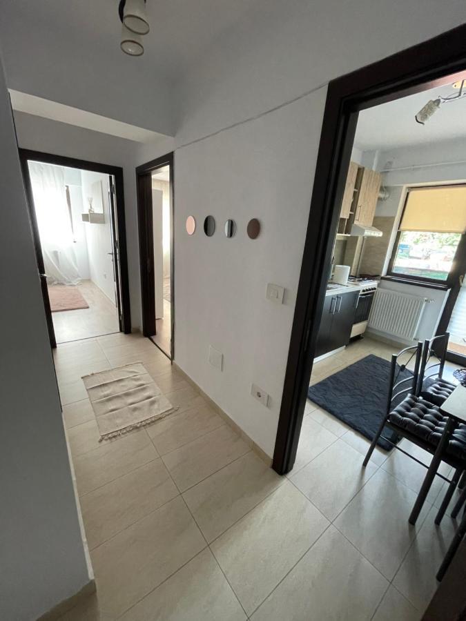 The Mirror - Quiet & Friendly Place In Copou Appartement Iasi Buitenkant foto
